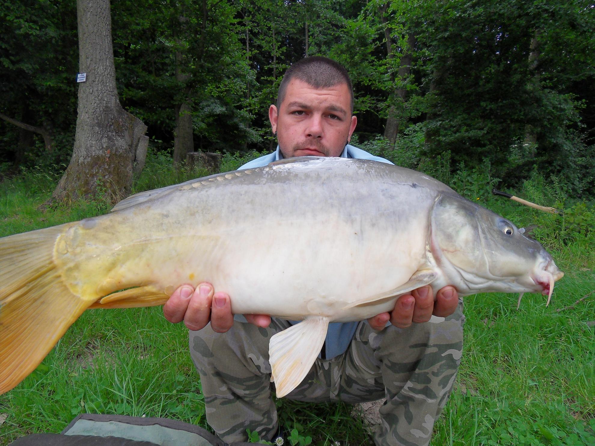 Cetariu 2011 - cetariu2011-270.JPG